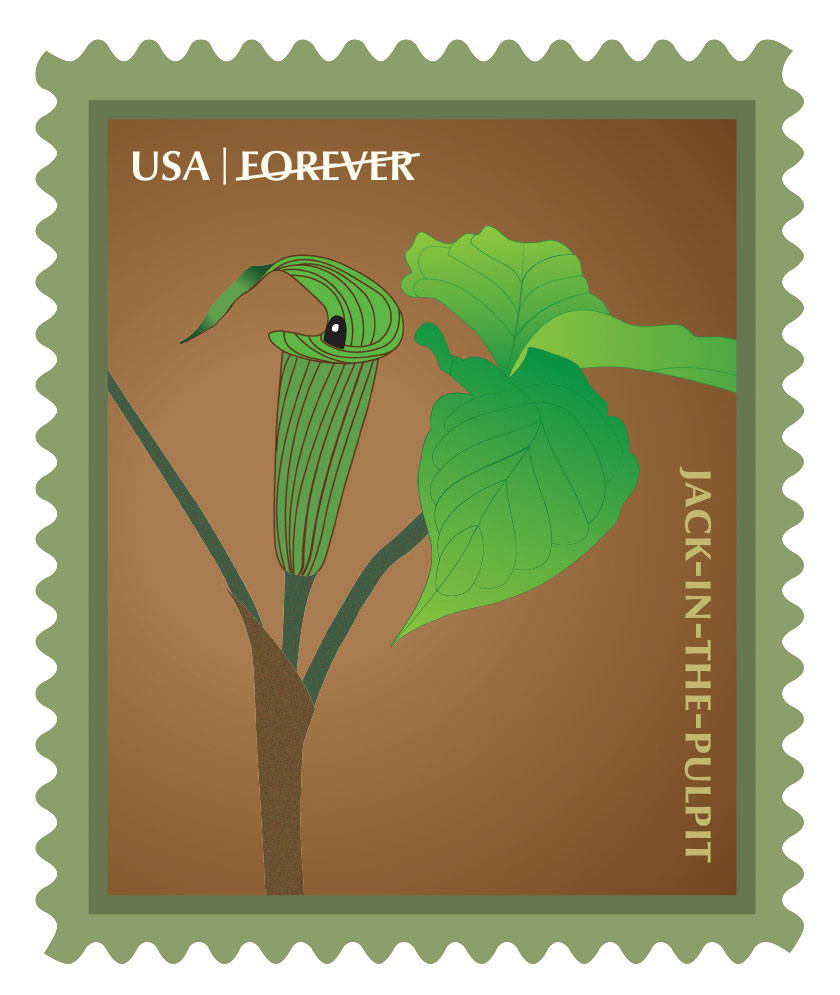 Jack in the Pulpit Stamp